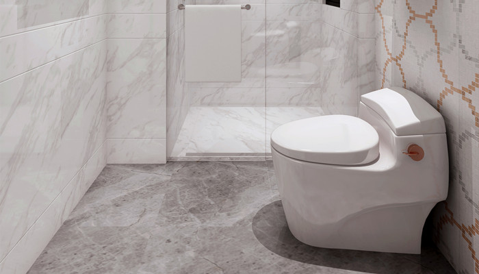 梦见一滩屎(梦见一滩屎代表什么意思)