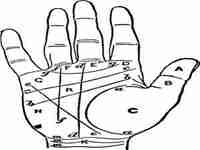 2022年运势及运程详解(属牛的人2022年运势及运程详解)