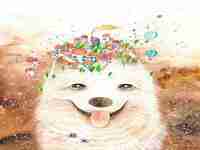 属狗2022年运势及运程详解(属狗2022年运势及运程详解每月)