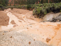 梦见滚滚而流的泥浆水(梦见滚滚而流的泥浆水中逃生)