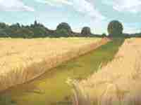 你想不想知道近期你会靠什么赚小钱-八字网(想知道你最近近况)