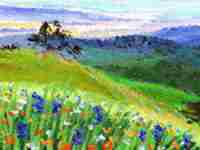 伤官见官的化解(伤官见官的化解方法)