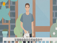 梦见大白鹅什么预兆(梦见大白鹅什么预兆解梦)