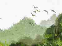 八字三两六钱男命(八字3两6钱什么意思男的)