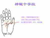 拥有神秘十字纹的人智商高吗-八字网