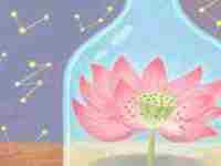 女人破月有什么害处