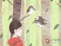 男人左眼下有泪痣代表什么-八字网(男生左眼下有泪痣面相)