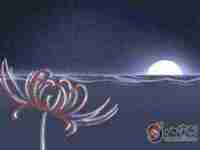 姓名解析2020年12月份出生的宝宝取名在线测试打分-八字网(2020年12月出生起名)