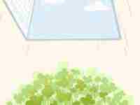 女人长泪痣好吗