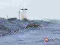 八字五行缺金的表现(八字五行缺金的表现有哪些)