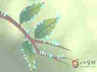 房子风水(房子风水主要看什么)