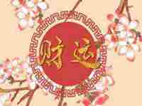 坐南朝北房子怎么旺财(坐南朝北房子怎么旺财图片)