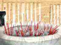 大林木命的人容易招鬼吗(大林木命最怕啥命为什么有贵气)