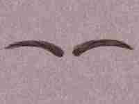 缺乏恒心(缺乏恒心和毅力怎么办)