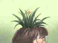 立冬的来历和风俗(立冬的来历和风俗简短100字)