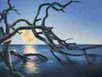 有钱男人面相解读(有钱男人面相解读图片)