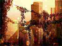 农业公司好听的名字(寓意好的农业公司名称)