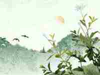 甲木命是好命吗(甲木命最好10大命格)