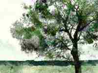 戊土男和己土女(戊土男和己土女的婚姻)