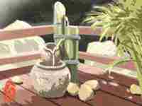 五行缺木的人伴侣会是怎么样的-八字网(五行缺木配偶)