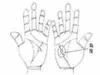 解析岛纹以及财富纹的手掌纹路-八字网(财富纹有岛纹)