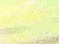 室内屏风能为你消灾解难吗-八字网(室内屏风的作用)