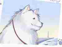 农村房屋大门风水禁忌(农村房屋大门风水禁忌图解)