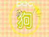 姻缘分析属狗和属狗的八字相合吗(属狗和属狗八字不合)