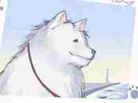 最新的女人臀部痣相图解大全-八字网(女人臀上长痣)