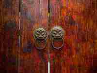 梦见狼咬自己(梦见狼咬自己是什么预兆)