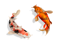 梦见把肉切成一块一块的(梦见把肉切成一块一块的扔着)