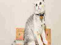 男人梦见自己和别的女人结婚(男人梦见自己和别的女人结婚老婆还帮自己操办婚礼)