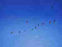 梦见在服装店挑选衣服(梦见在服装店挑选衣服试穿)