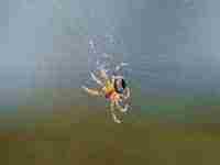 梦见自己收到红包数钱(梦见自己收到红包数钱了)