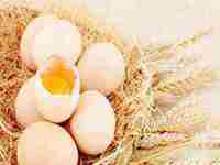 女人梦见自己吃煮鸡蛋好不好(女人梦见自己吃煮鸡蛋)