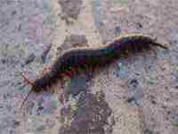 梦到手机屏幕碎了预示着什么(梦到手机屏幕碎了预示着什么有人捡回来了)