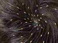 梦见大水从山上冲下来(梦见大水从山上冲下来没冲着自己)