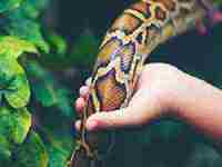 女人梦见换房子是什么预兆解梦(女人梦见换房子是什么预兆)