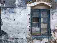 梦见好多老鼠满地跑(梦见好多老鼠满地跑还打死了好多)