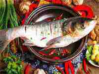 梦见蛇咬我的手(梦见蛇咬我的手是什么意思)