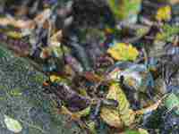 梦见坐电梯出故障(梦见坐电梯出故障但是人没事)