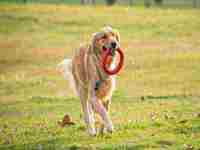 梦见老公在找钥匙(梦见老公在找钥匙什么意思)