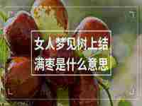 女人梦见树上结满枣是什么意思周公解梦(女人梦见树上结满枣是什么意思)