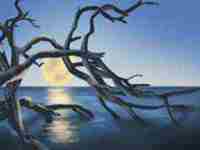 龙眉面相特征解析图片(龙眉面相特征解析)