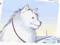 农村房屋大门风水禁忌怎么破解(农村房屋大门风水禁忌)