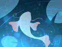 子夜出生的男孩不好怎样化解(子夜出生的男孩风流玉树临风)