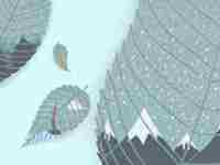 婚姻线末端分叉呈三角形图片(婚姻线末端分叉代表什么)