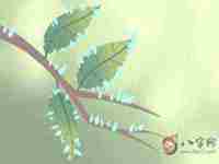 房子风水布局图解大全(房子风水)