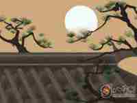 金蟾尾部压钱(金蟾下面压钱好吗)