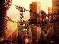 适合三农领域的名字(农业公司好听的名字)